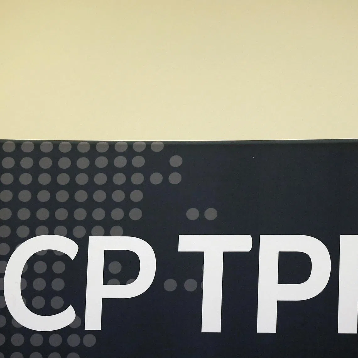 FILE PHOTO: The logo of Trans-Pacific Partnership (TPP) trade deal, is seen inside at the Ministry of Foreign Affairs in Santiago, Chile May 16, 2019. REUTERS/Rodrigo Garrido/File Photo