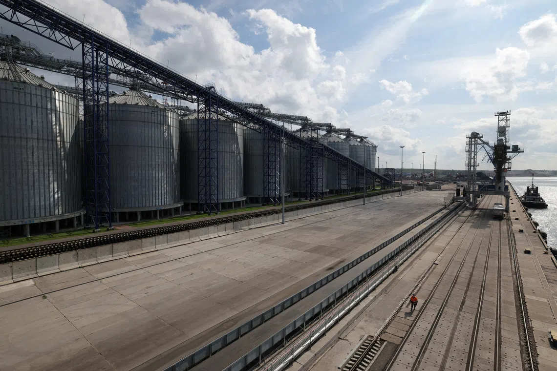 FILE PHOTO: FILE PHOTO: A general view shows a grain terminal in the Baltic Sea port of Vysotsk in the Leningrad region, Russia August 21, 2024. REUTERS/Anton Vaganov/File Photo