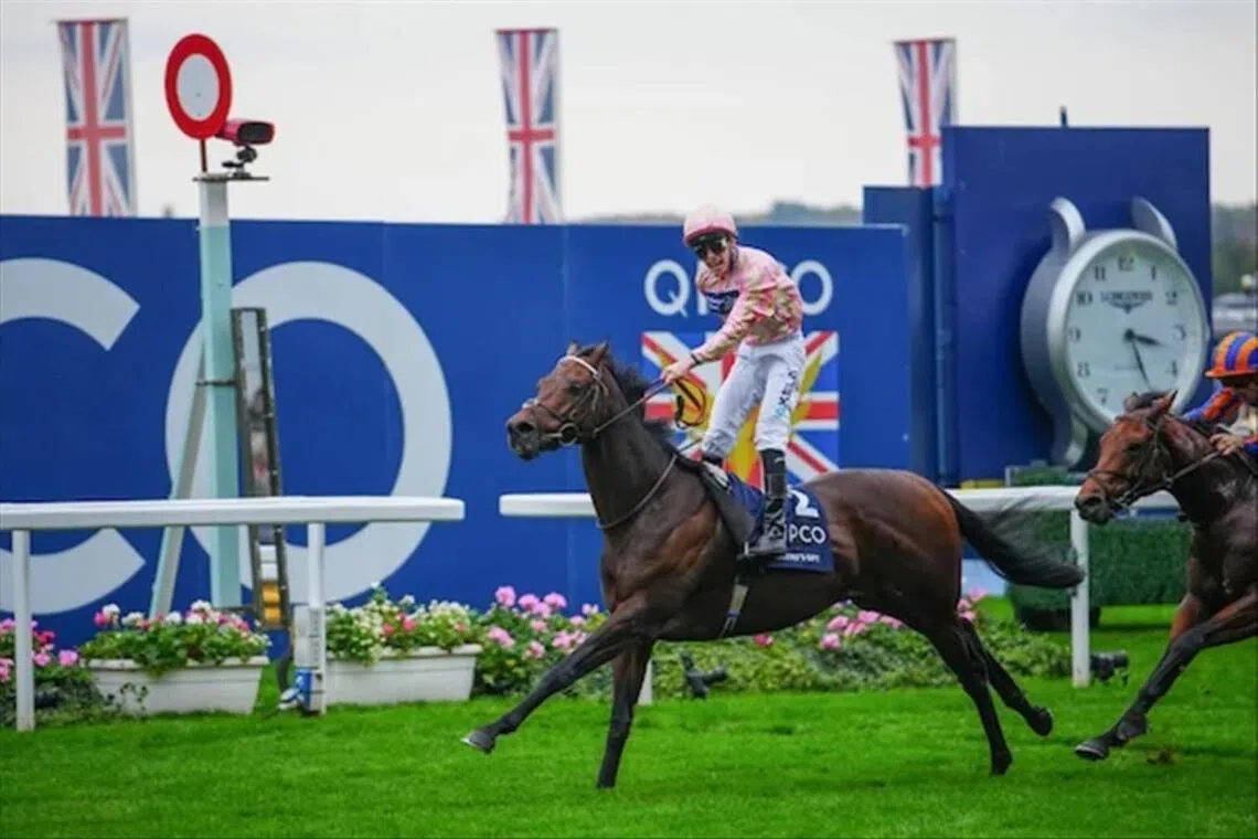 Abu Dhabi ready to shine in its new Gold Cup glory