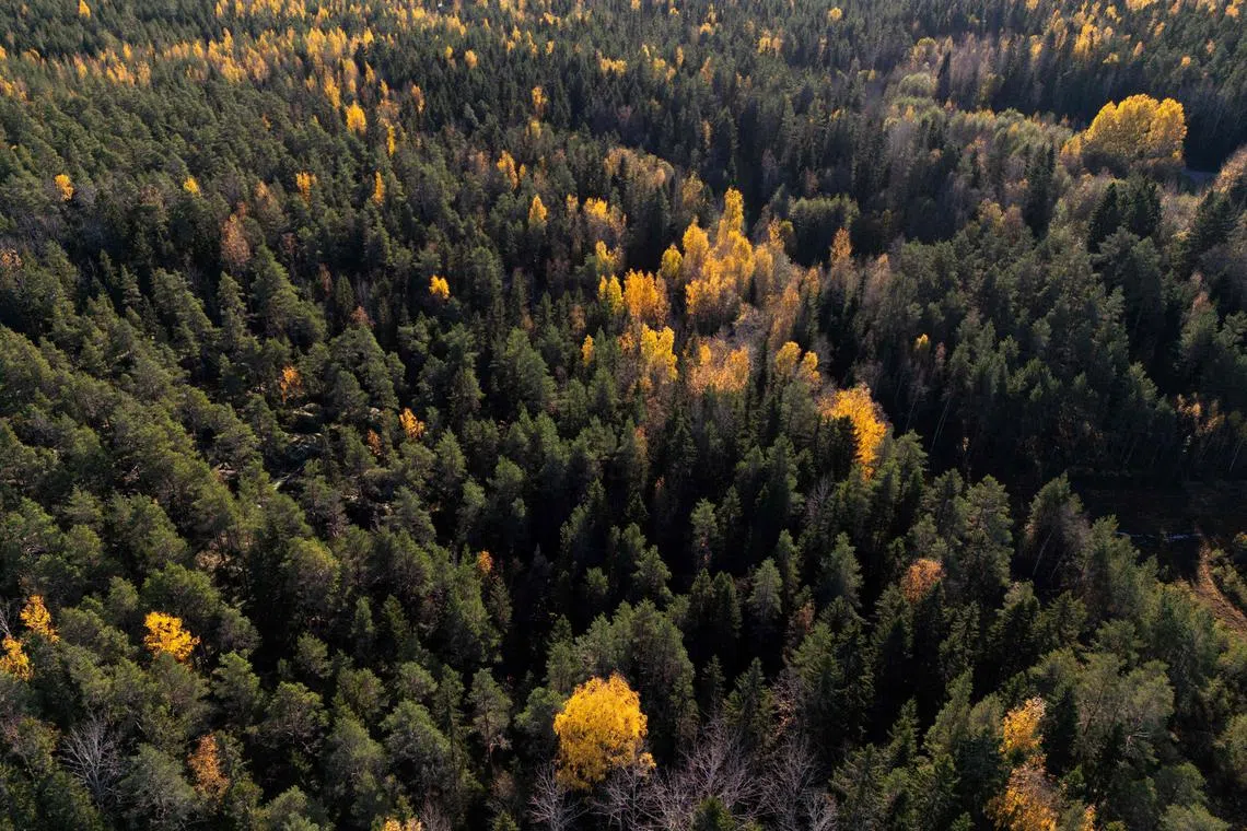 Mr Guterres highlighted that destroying nature increases conflict over resources, hunger and disease, fuels poverty and slashes GDP.