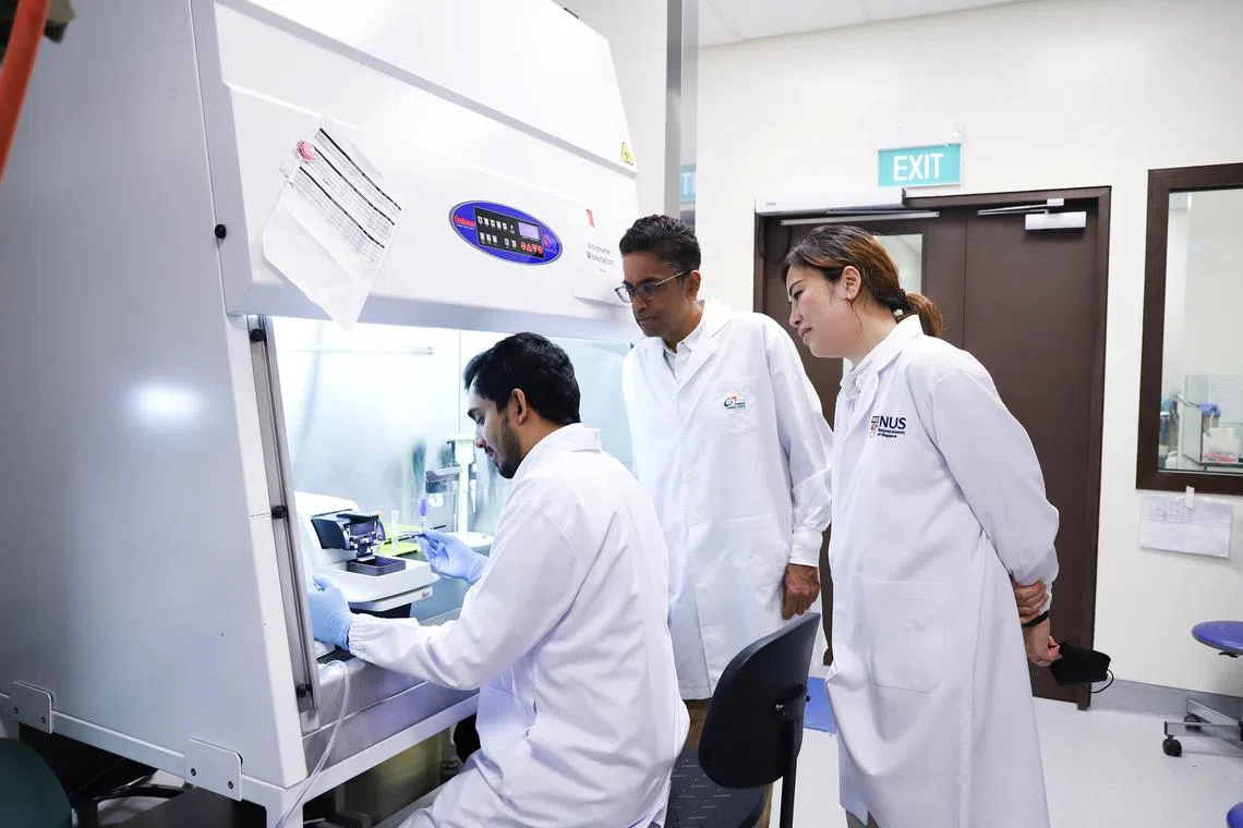 (From left) NUS PhD trainee Elekuttige Anton Kanishka Fernando preparing lymph node samples for Covid-19 mRNA vaccine testing as Professor Gopal Iyer and Assistant Professor Eliza Fong look on.