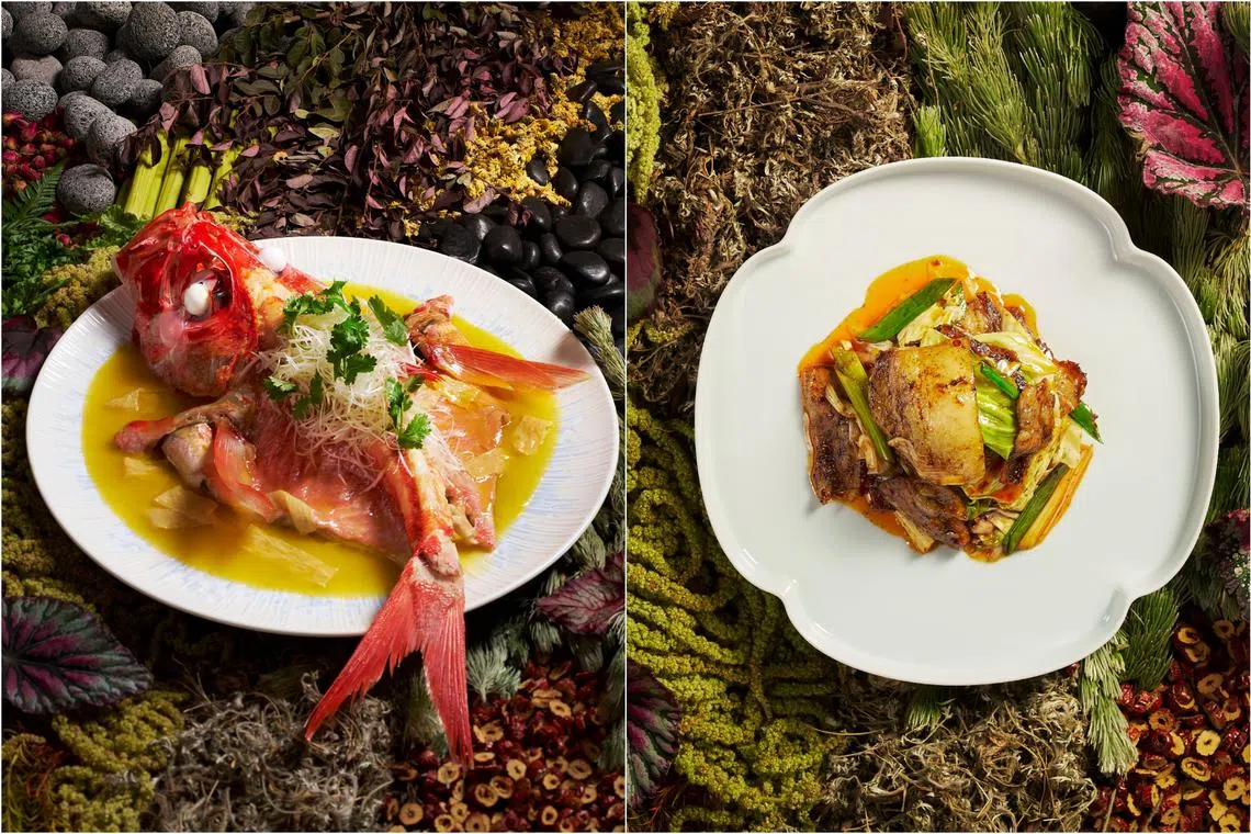 Kinmedai Fish in Sour and Spicy Sauce with Fresh Yuba (left) and Sichwan-style Stir-fried Hokkaido Mangalica Pork.