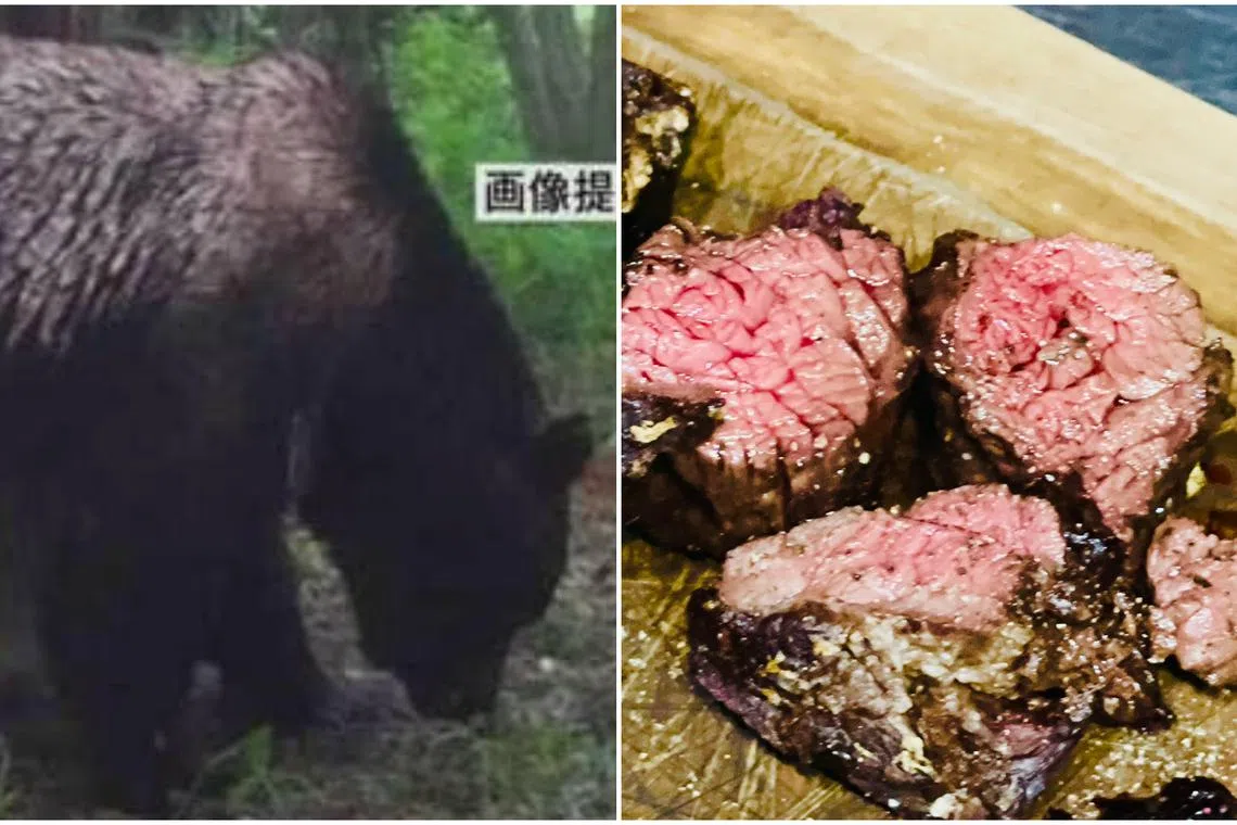 The bear meat has since been sold to restaurants in cities including Tokyo, Kyoto, Osaka and Kushiro where it was caught.