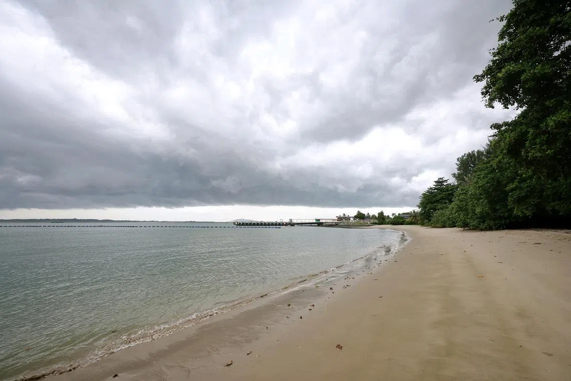 A section of the estimated 193ha of land off Changi, which will be reclaimed for the development of the aviation park, as seen from the coast near Changi Beach carpark 7 on July 2, 2025.