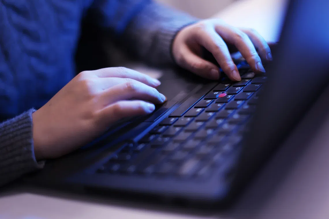 More support will be also given to individuals and households in accessing digital tools and services.