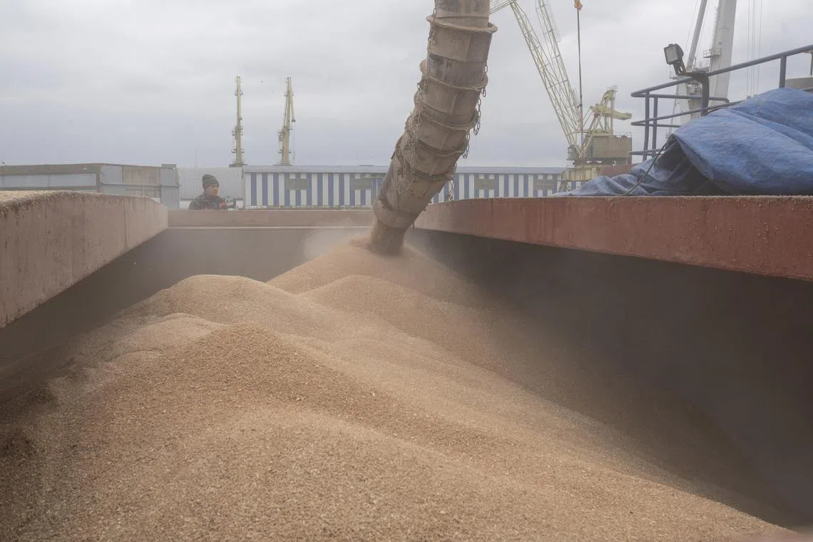 Prices have been driven so low that selling would mean earning less than producing crops.