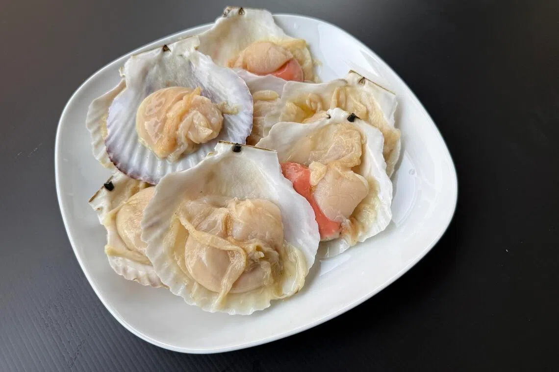 Vieiras em meia concha do The Seafood Market Place, de Song Fish.