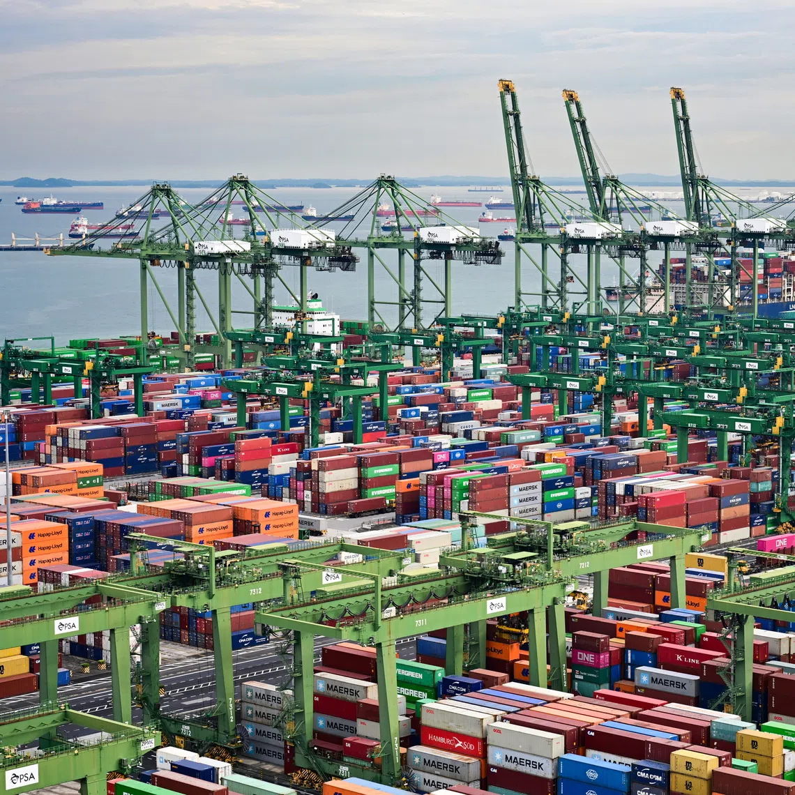 Total onshore oil product stocks hovered at around 37.95 million barrels in the week of July 29, compared with 39.64 million barrels a week ago, Enterprise Singapore data showed.