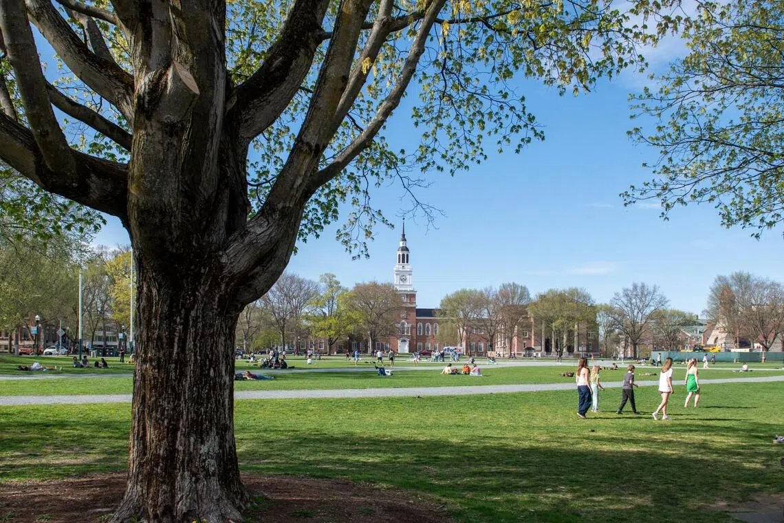 ‘Hypocrisy’: US students are calling out college leaders for using AI