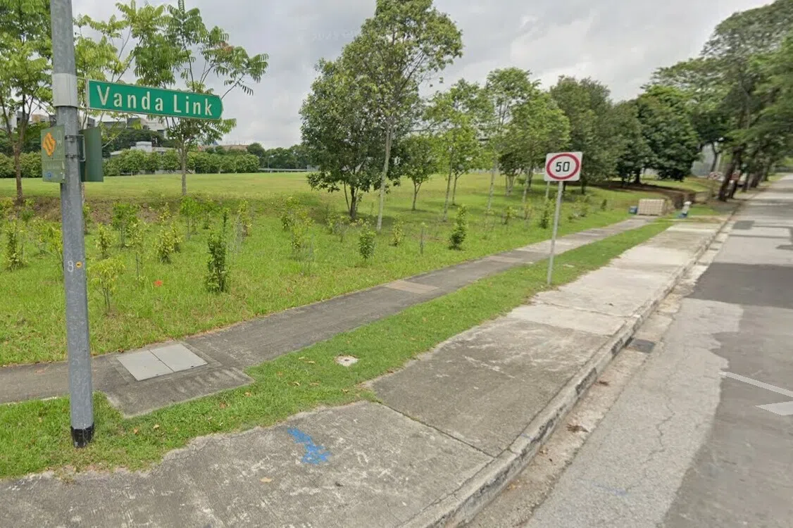 The sexual acts took place on April 18, 2022 at a secluded open space in the vicinity of Vanda Link, near the Sixth Avenue MRT station.  