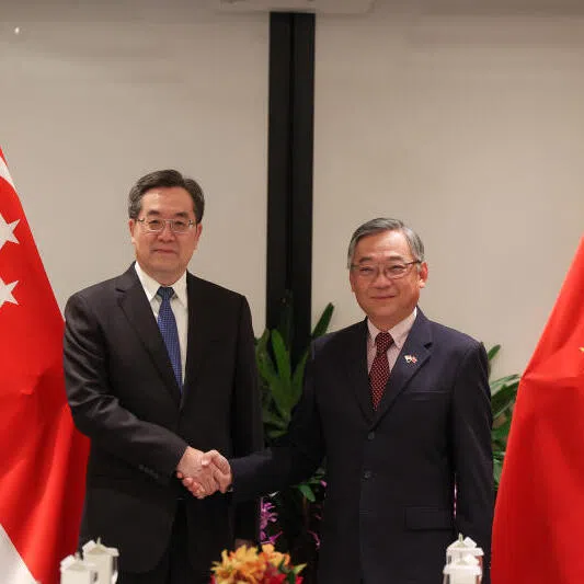 Deputy Prime Minister Gan Kim Yong (right) with Chinese
 Vice-Premier Ding Xuexiang at the 20th Joint Council for Bilateral Cooperation in Singapore in November 2024.