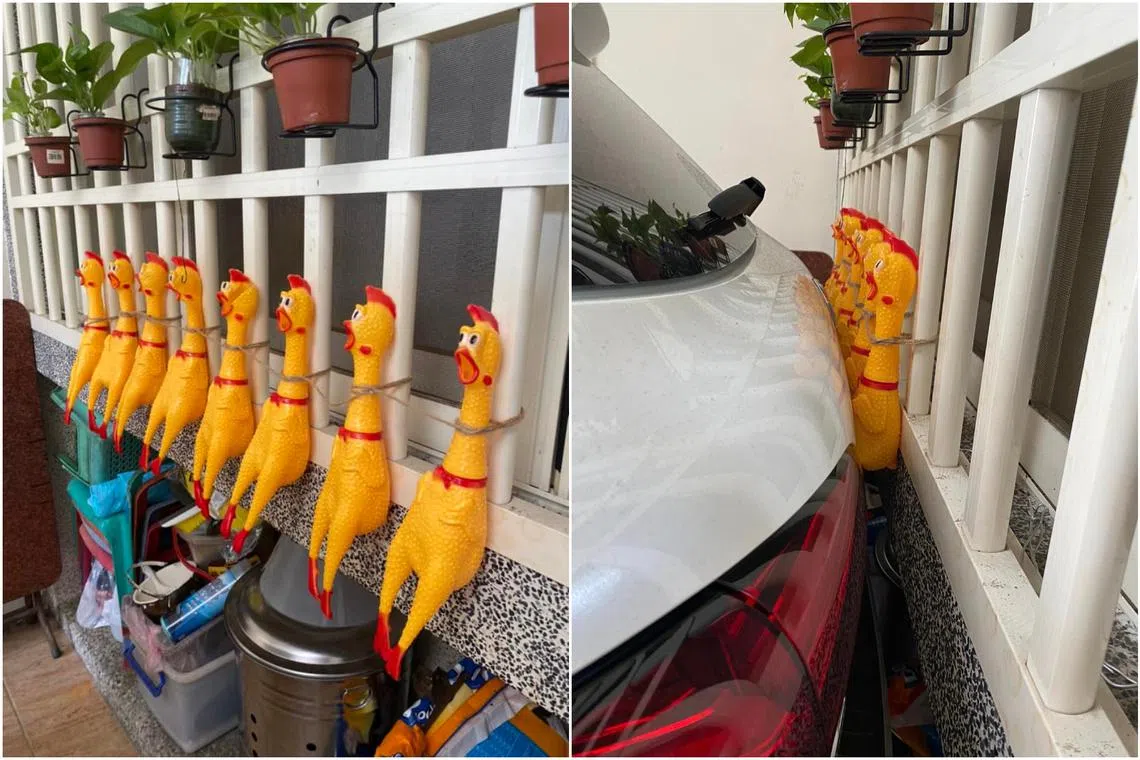 The plastic chickens on his window grill act as a warning device when he is backing into his very narrow garage.