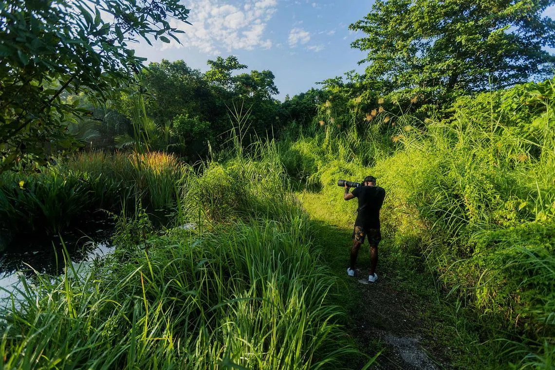 Photographer and documentary filmmaker Jayaprakash Bojan taking pictures at Kranji Marshes. His photos will be featured in virtual exhibition UNSEEN/SINGAPORE.