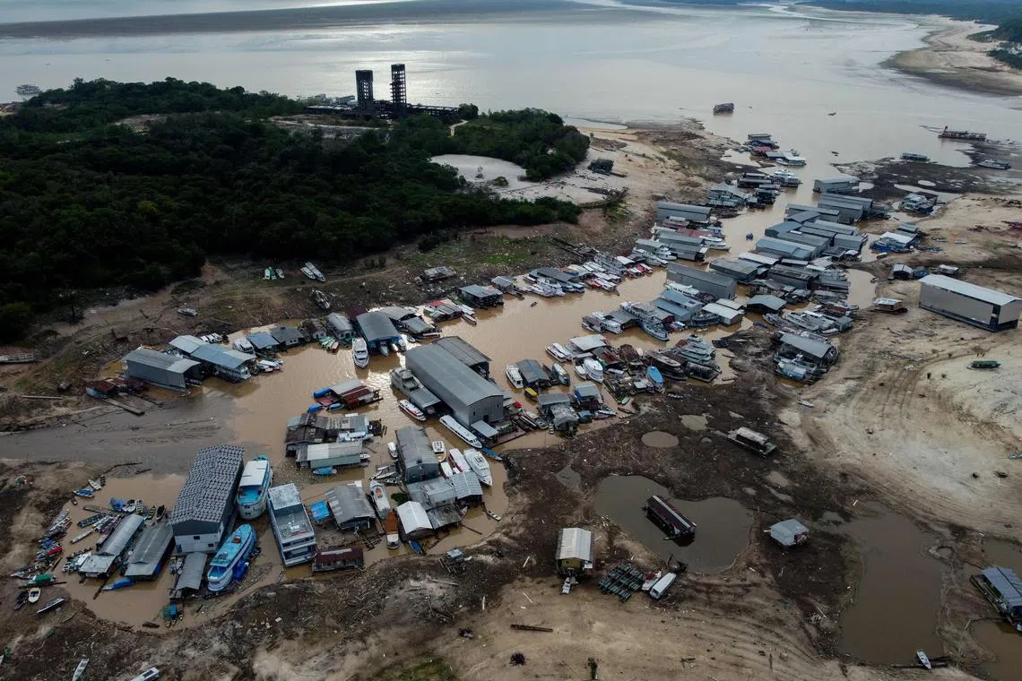 Floating houses and boats are seen stranded at the Marina do Davi, a docking area of the Negro river in the city of Manaus, in northern Brazil on Oct 16. The Negro river is facing the worst dry season of the last decades in the Amazon rainforest. 