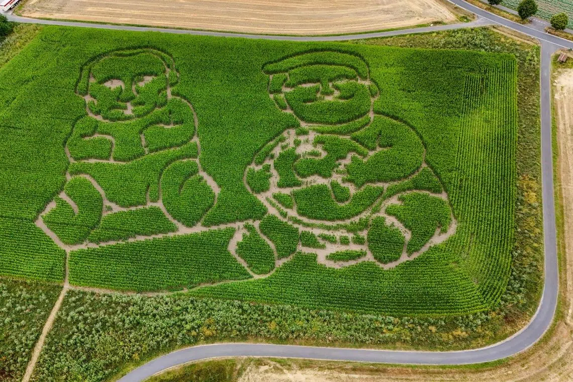 TOPSHOT - An aerial view taken on July 20, 2026 shows a maze in a corn field showing Russia's President Vladimir Putin (L) and US President Donald Trump as young children playing with a ball which is meant to represent Earth, at the Hof Luenemann farm in Selm, western Germany. (Photo by Ina FASSBENDER / AFP)