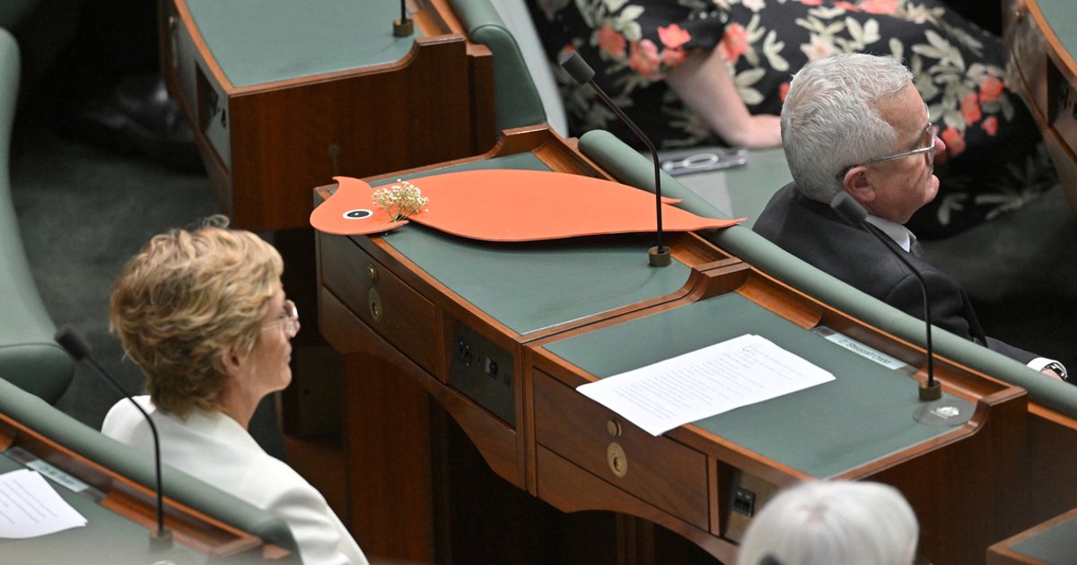 Australian politicians pay tribute to wounded lawmaker Helen Haines
