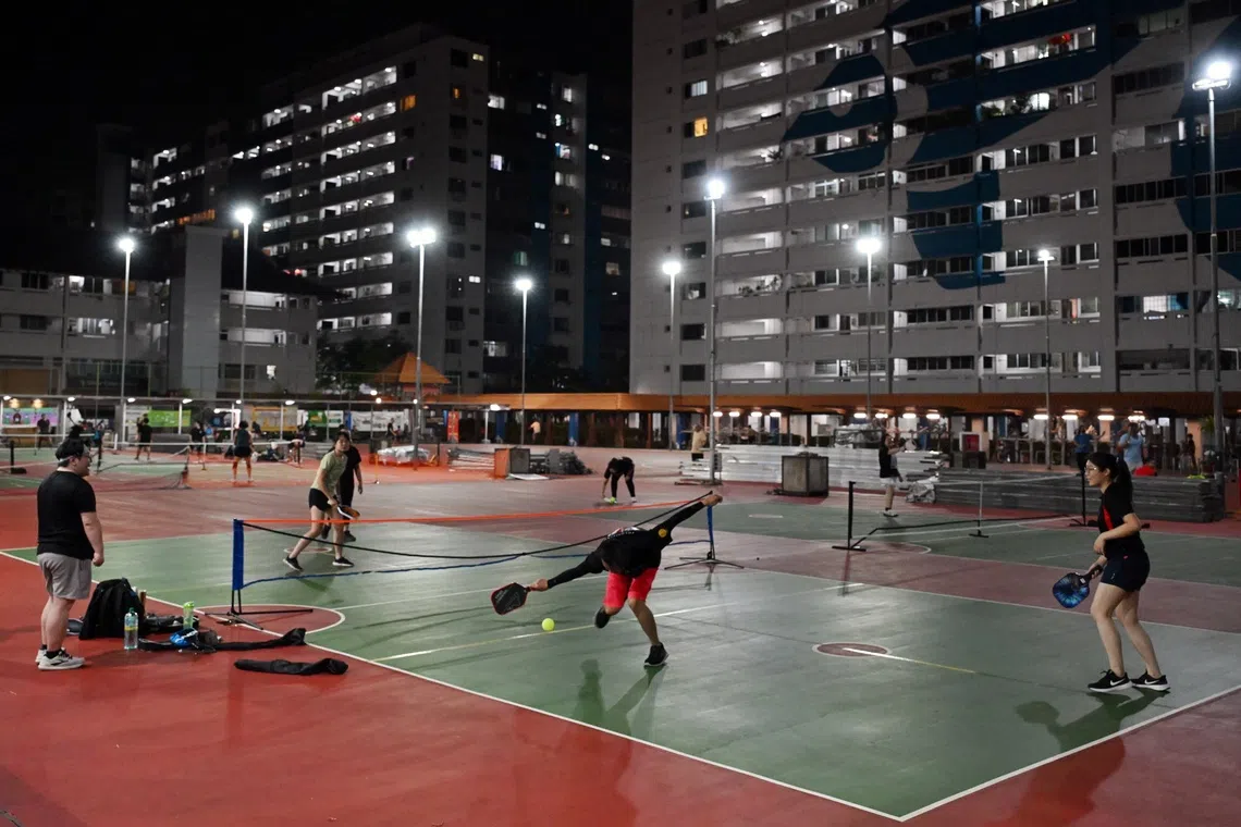 Fights have broken out between irate residents and pickleball players and complaints have been made to MPs and town councils.
