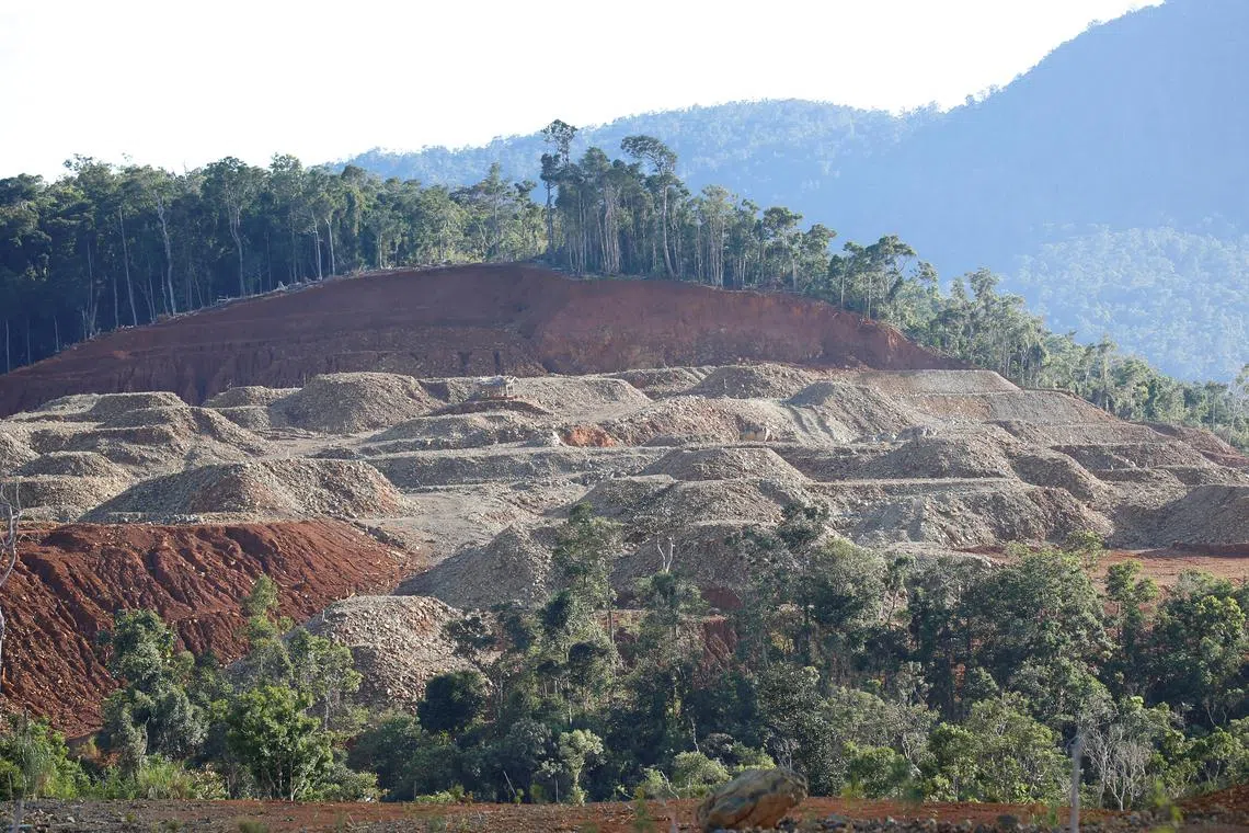 A view of nickel ore stockpiles at DMCI Mining Corporation's mine in Sta Cruz Zambales in northern Philippines February 7, 2017. Picture taken February 7, 2017. REUTERS/Erik De Castro/ File Photo