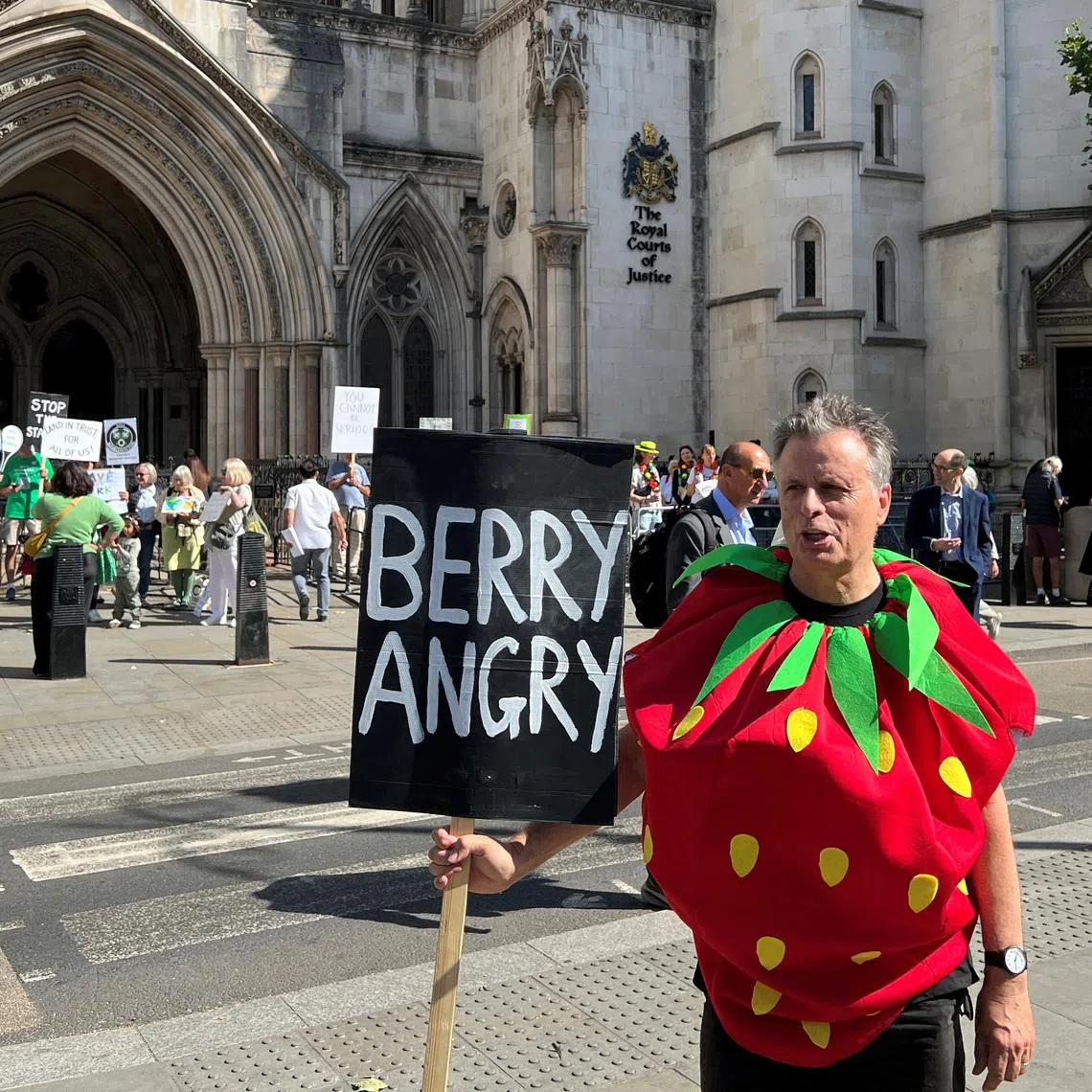 A protestor, dressed as a strawberry, from the campaign group Save Wimbledon Park, holds a sign which says \"Berry Angry\" outside the Royal Courts of Justice in London, Britain, July 8, 2025. REUTERS/Sam Tobin