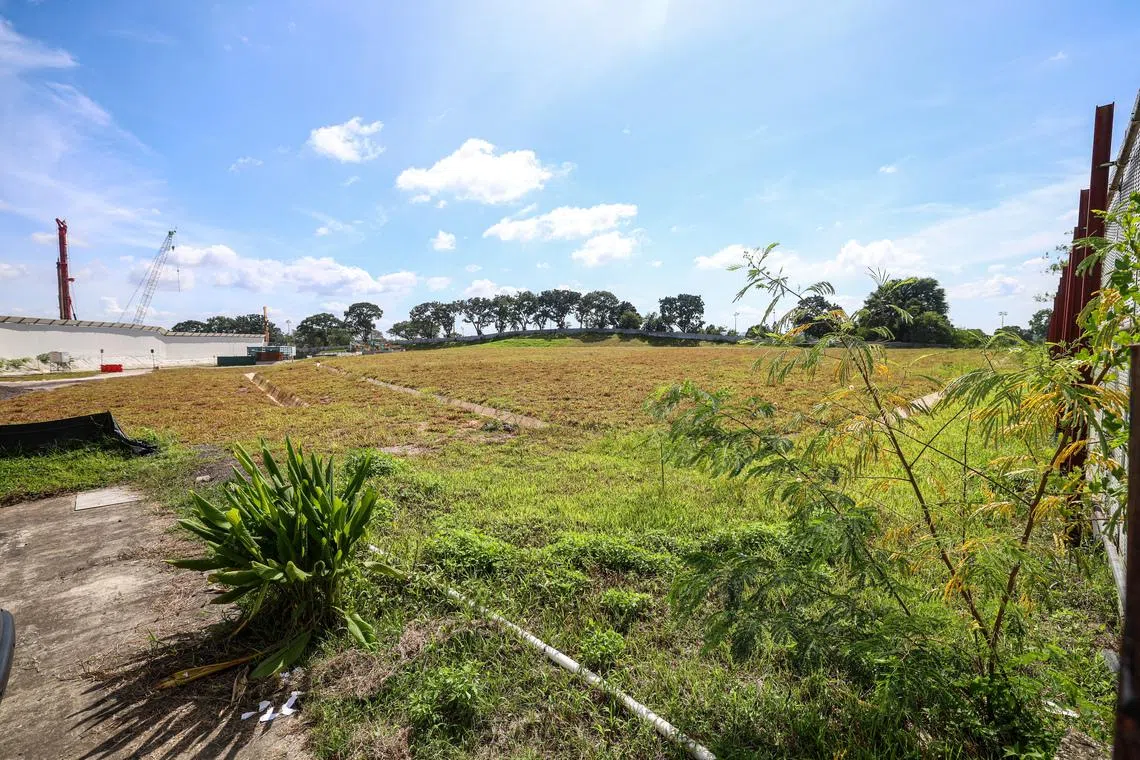 The Miltonia Close site spans 15,451 square metres with a gross floor area of 43,264 sq m.