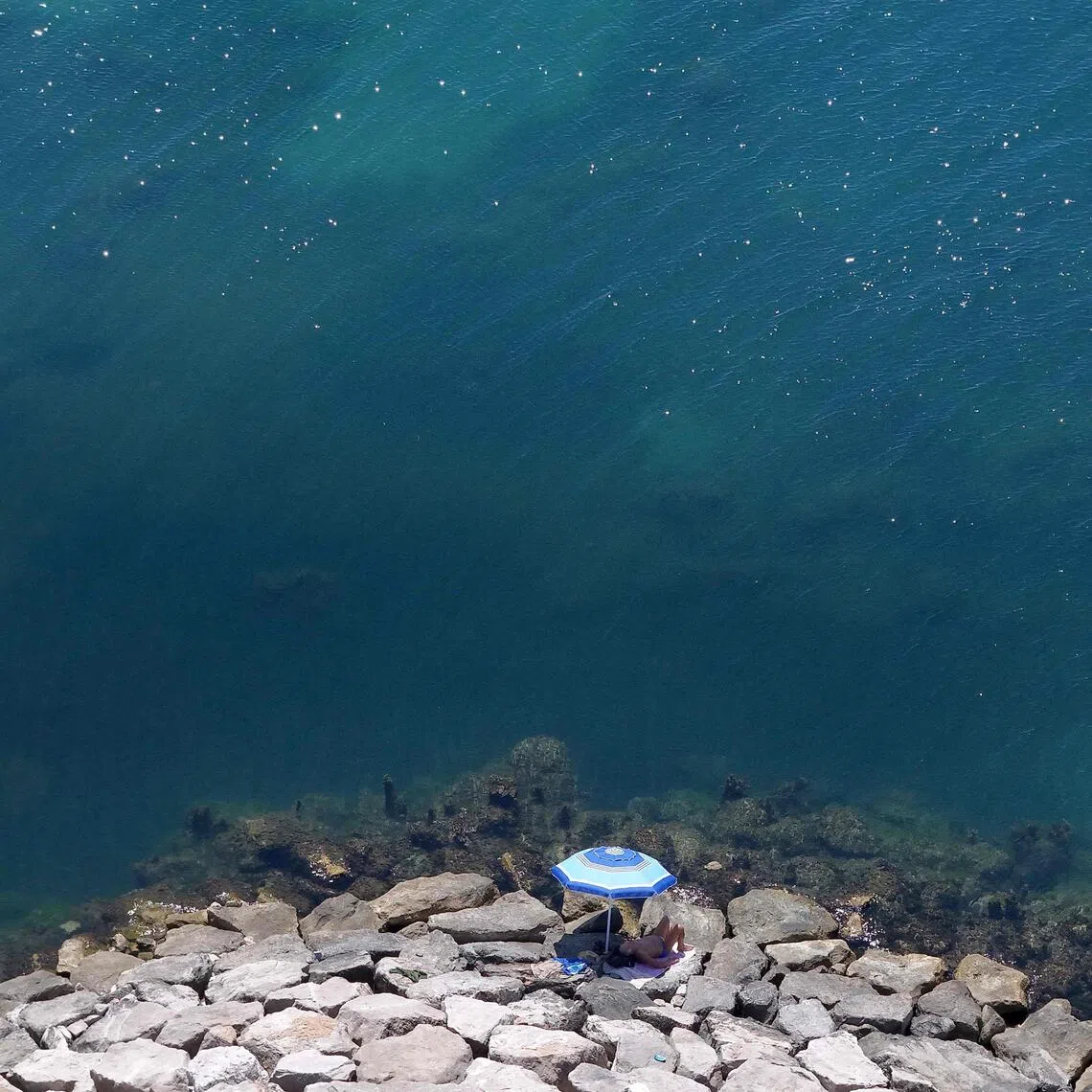 The global average sea-surface temperature hit a record 21.1 deg C on Aug 22.