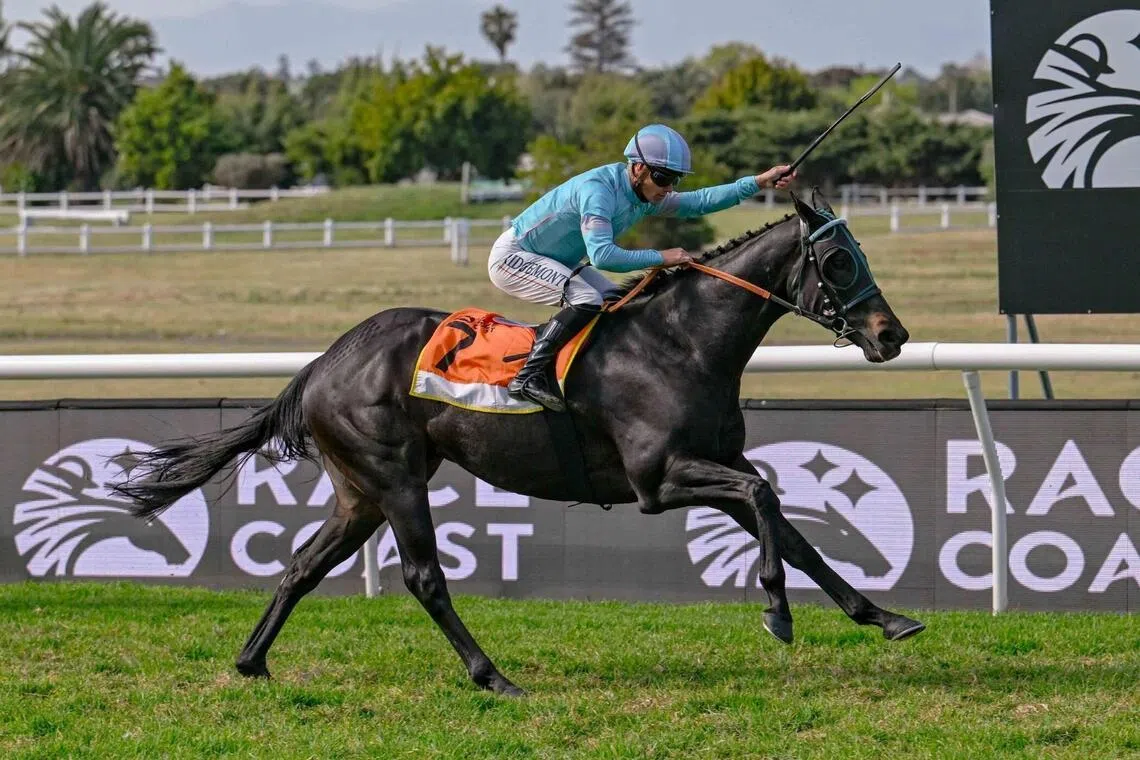 Champion jockey Richard Fourie was aboard at the last four of Questioning's 10 wins in South Africa. The pair recombine in the Gold Challenge (1,600m) at Greyville on June 6 in what will be the Querari gelding's bid to notch a first Group 1 win.
