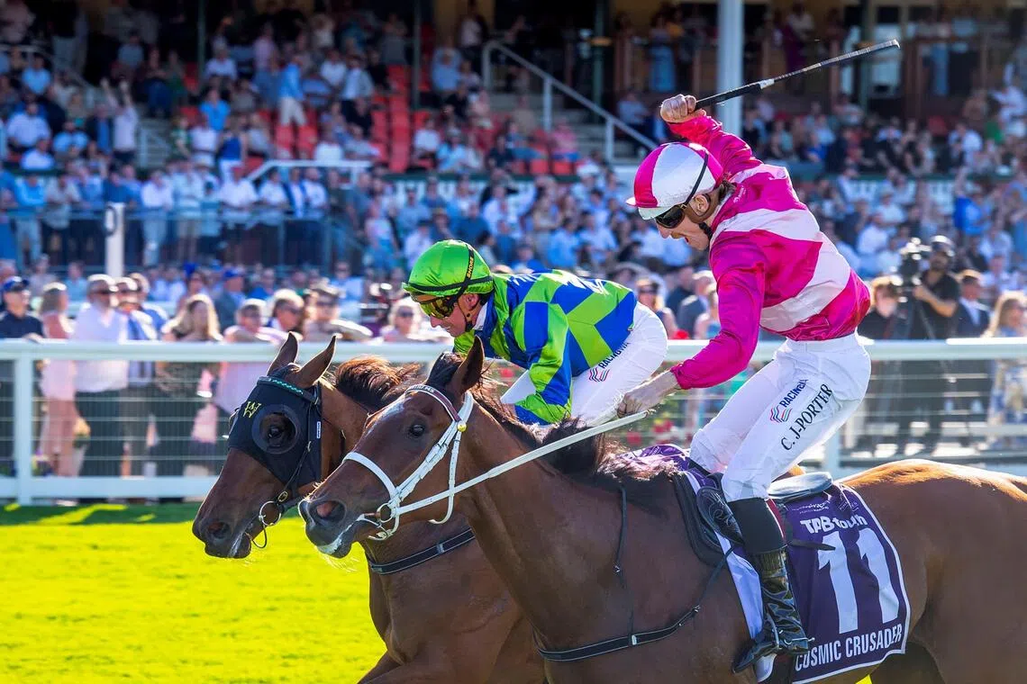 notherly09 - All of jockey Clint Johnston-Porter's (in pink) pent-up frustration of Cosmic Crusader's recent defeats is let out with a roar as he makes amends in the Group 1 Northerly Stakes (1,800m) at Ascot on Dec 6, defeating Watch Me Rock (Nash Rawiller) by a head.

PHOTO: WESTERN RACEPIX