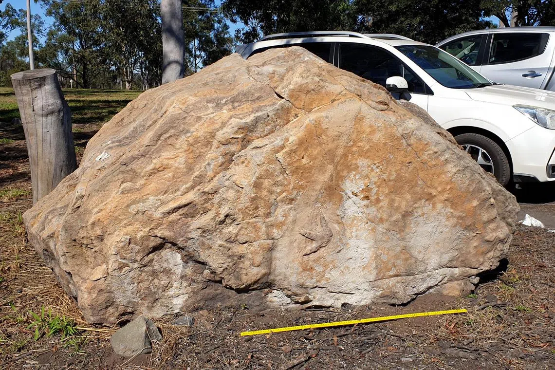 The slab was stamped with dozens of fossilised footprints dating to the early Jurassic period some 200 million years ago.