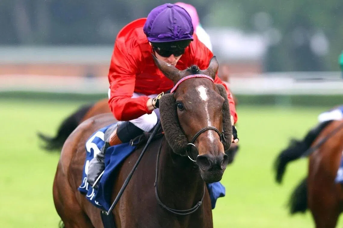The Yann Barberot-trained Lapotheose (Alexis Pouchin) bringing up the last of her unbeaten sequence of four wins in the Group 2 Prix Saint-Alary (2,000m) at ParisLongchamp on May 10.

PHOTO: SCOOPDYGA