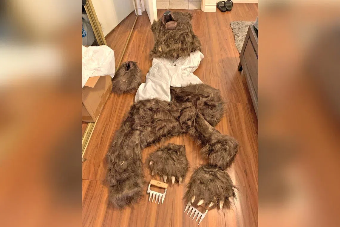 Four Americans allegedly dressed up as bears and damaged their own cars to defraud insurance companies.