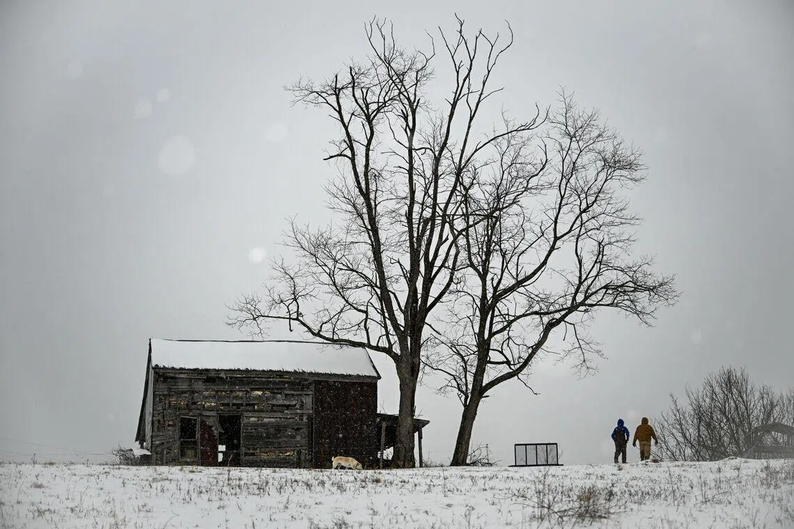 A farmer and his son walking to feed their cows on a farm in Cynthiana, Kentucky, US, on Jan. 25, 2026. A massive winter storm reached the US Atlantic Coast on Sunday, bringing heavy snow and ice, straining electric grids and grounding thousands of flights at levels not seen since the pandemic. 