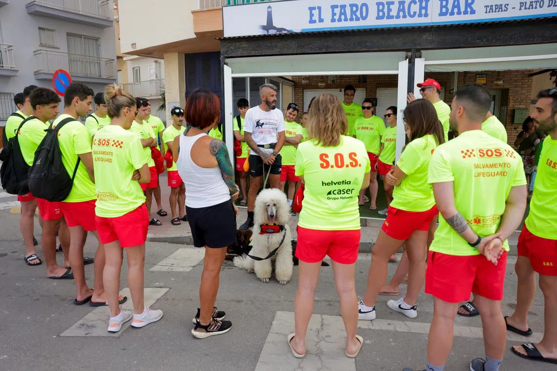 Miguel Sanchez-Merenciano, 45, Global K9 instructor, talks to members of the beach lifeguards team, as he stands near Brown, 3, a male Labrador Retriever dog and Nilo, 2, a male Standard Poodle dog, which is the latest member added to the dog rescue team, during the official presentation of the beach lifeguard rescue team, on the first day of work of the summer season, in Torrox, southern Spain June 14, 2025. 