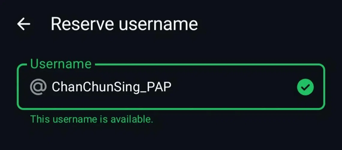 A scammer looking to impersonate Singapore’s Defence Minister can still reserve  @ChanChunSing_PAP even though WhatsApp has locked down @ChanChunSing and @Chan_Chun_Sing.