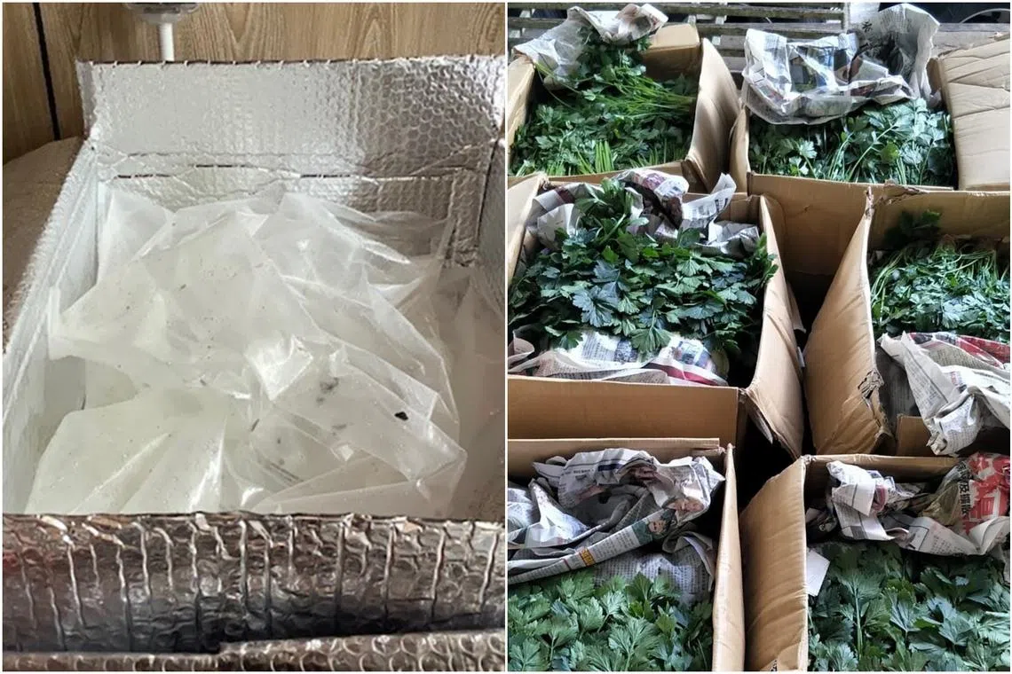 An empty carton box that contained oysters and an illegal consignment of undeclared vegetables seized by SFA.