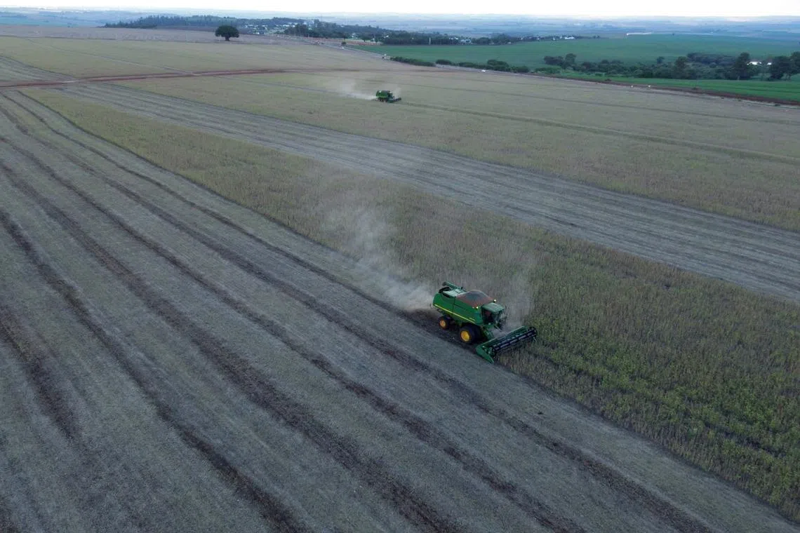 FILE PHOTO: Farmers harvest soybeans on a farm in Maringa in Parana state, Brazil, March 3, 2025.  REUTERS/Rodolfo Buhrer/File Photo