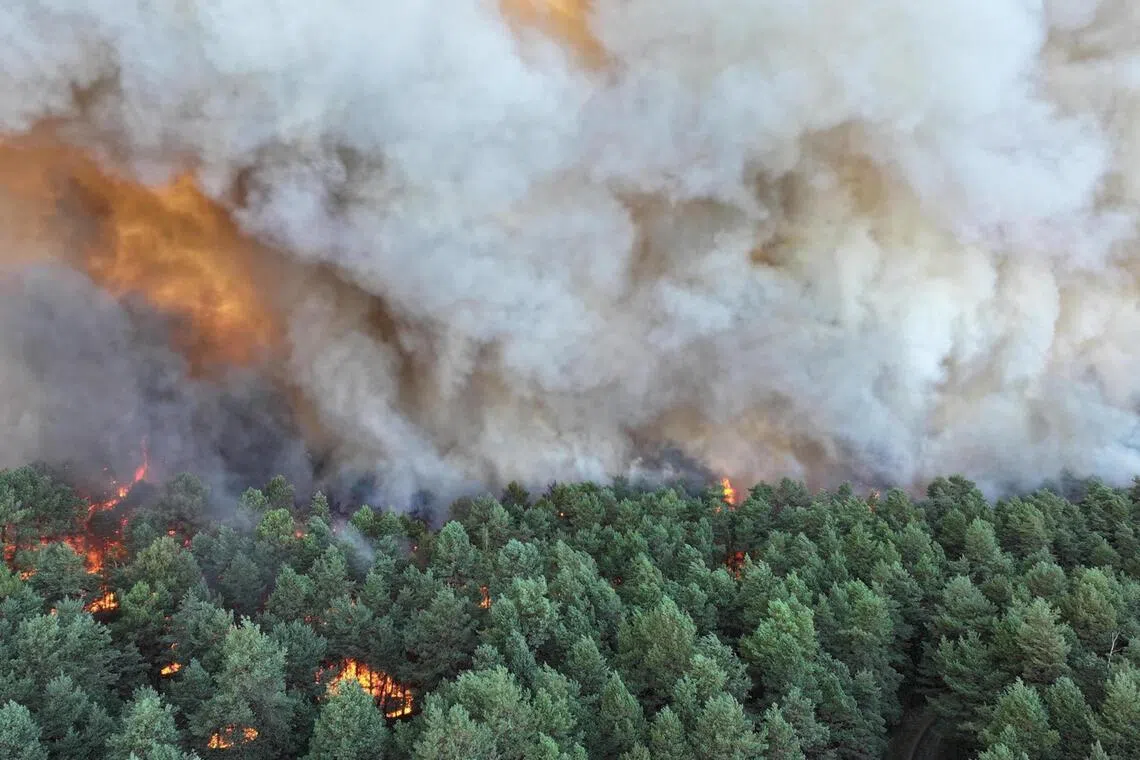 The fire erupted on July 12 in the sprawling Fontainebleau forest, about 60km south-east of the capital Paris.