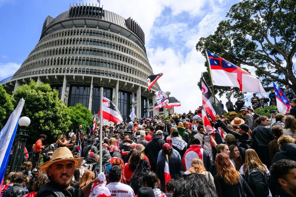 Protesters gather on parliament grounds in Wellington on Nov 19, 2024.  