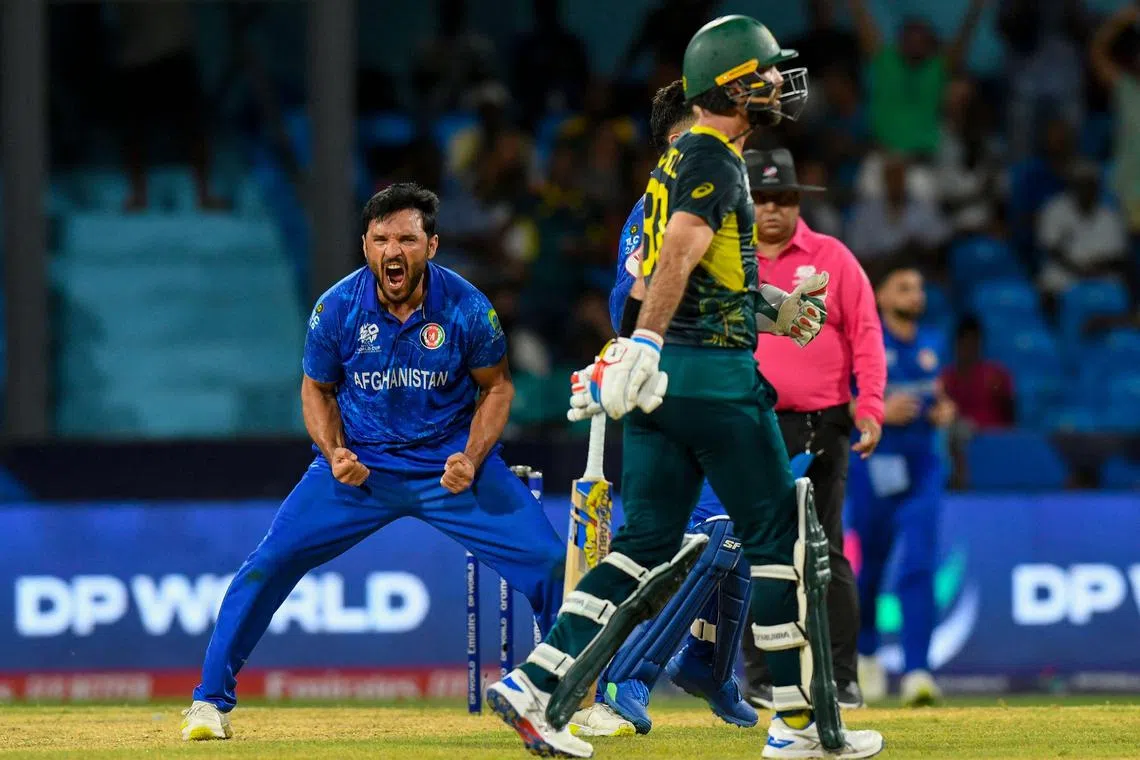 Afghanistan's Gulbadin Naib celebrates after the dismissal of Australia's Glenn Maxwell during the ICC men's Twenty20 World Cup Super Eight cricket match at Arnos Vale Stadium in St Vincent and the Grenadines on June 22, 2024.
