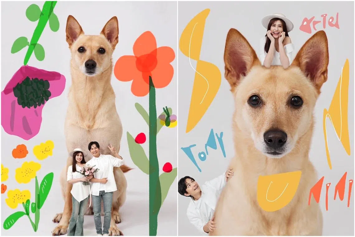 5566 member Tony Sun and singer Ariel Sha announced their marriage on social media on March 3.