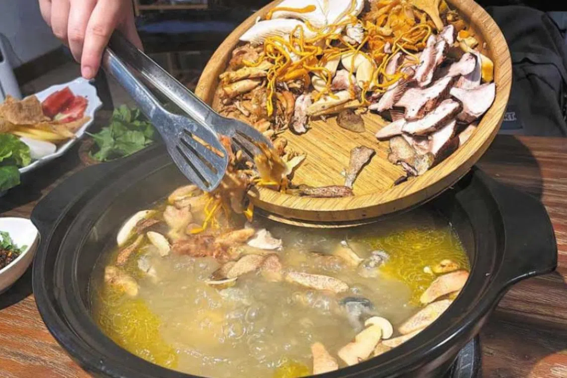Yunnan’s wild mushroom season draws global foragers and food lovers