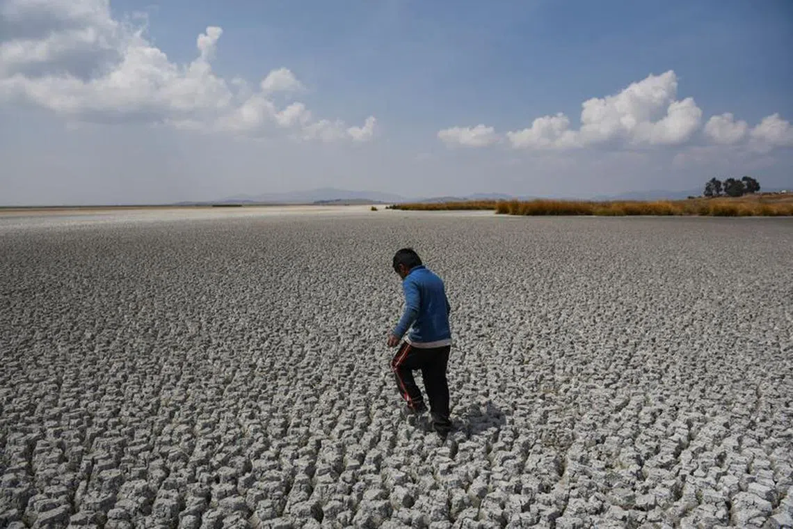 Alex Flores walks on a dry area of Lake Titicaca, Latin America's largest freshwater basin, as it is edging towards record low levels, on Cojata Island, Bolivia October 26, 2023. REUTERS/Claudia Morales/File Photo