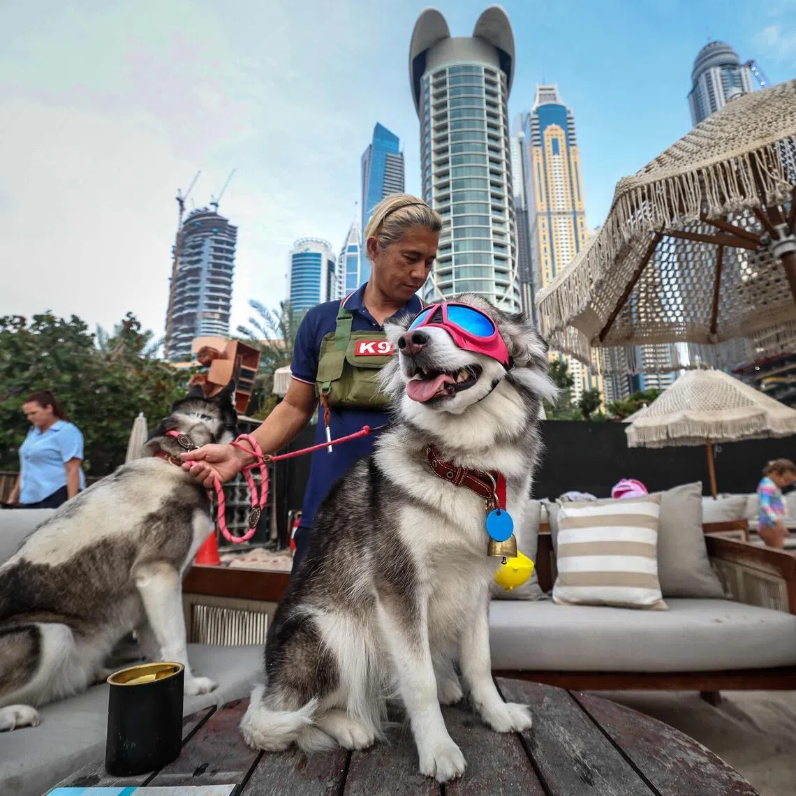 A woman stands with two dogs during the Barkfest dog festival at Barasti Beach in Dubai on April 4.