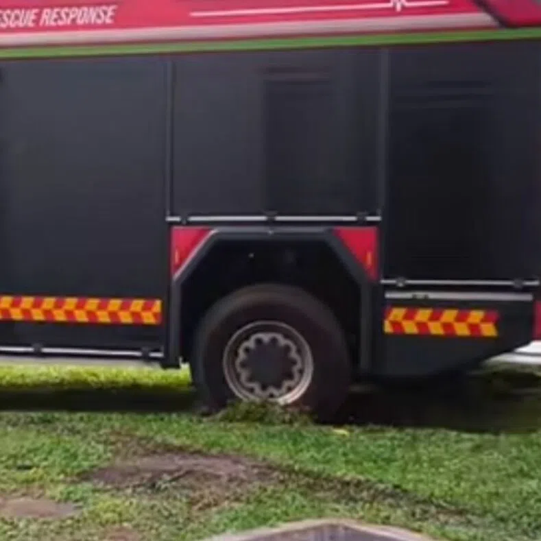 The incident occurred at about 3.50pm on Sept 24, after firefighters completed routine checks on the fire safety provisions at Block 338A Anchorvale Crescent.