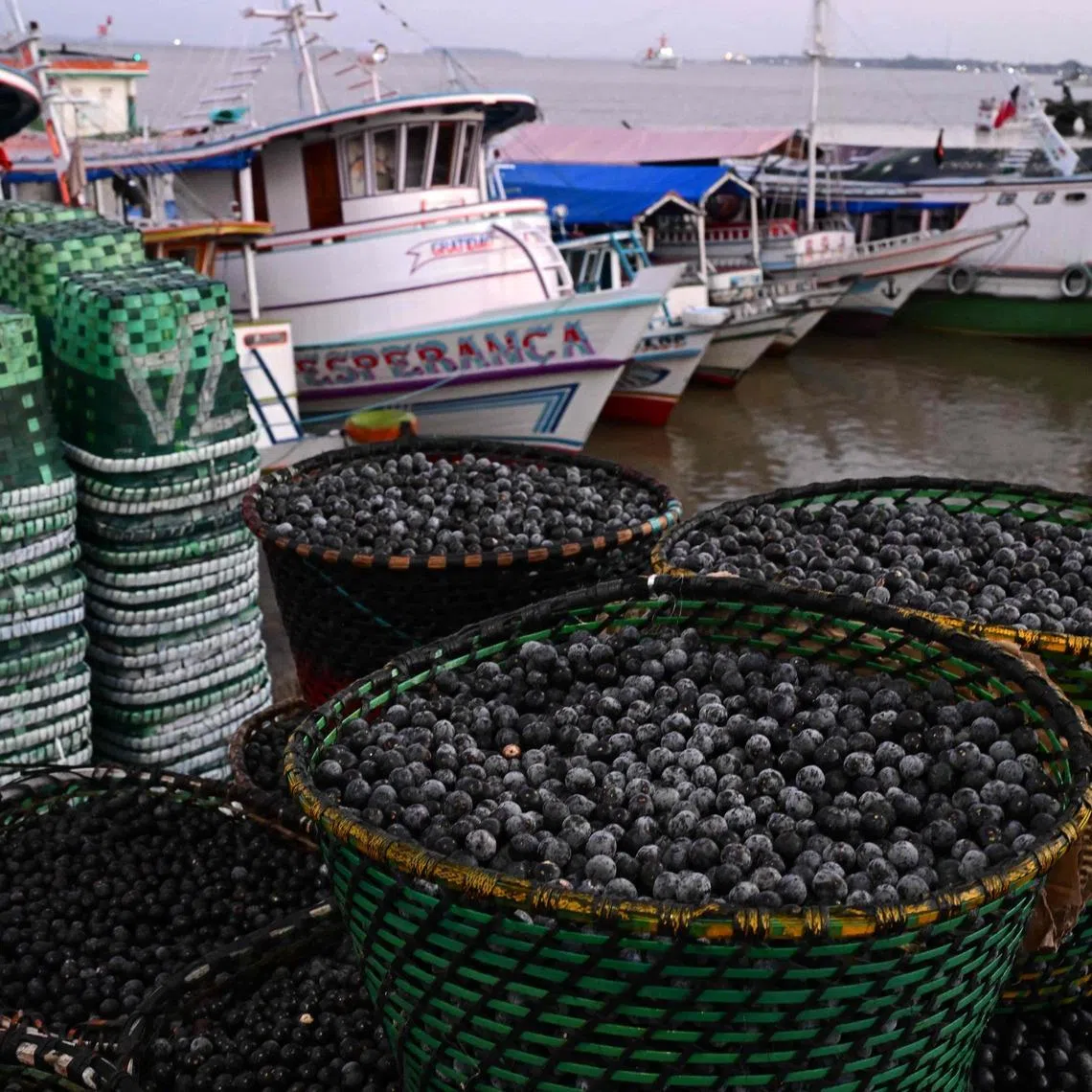 Baskets of acai berries at the Ver-o-Peso wholesale market in Belem, Brazil, in November 2025. Acai’s active ingredients have piqued the interest of food and cosmetic companies worldwide.