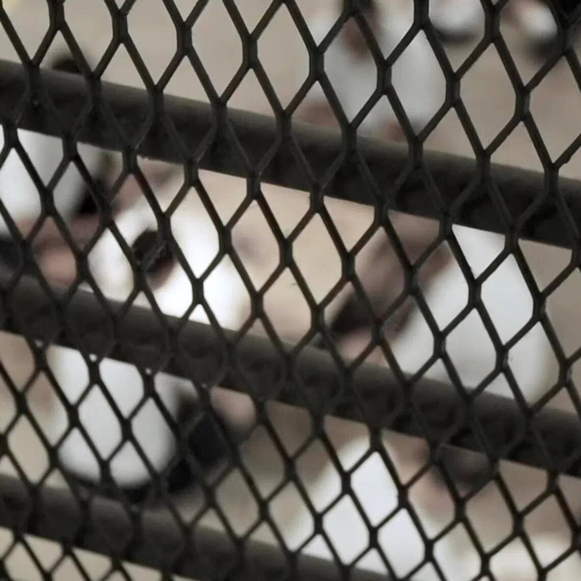 Chemical castration is a more temporary form of treatment, compared to surgical methods.