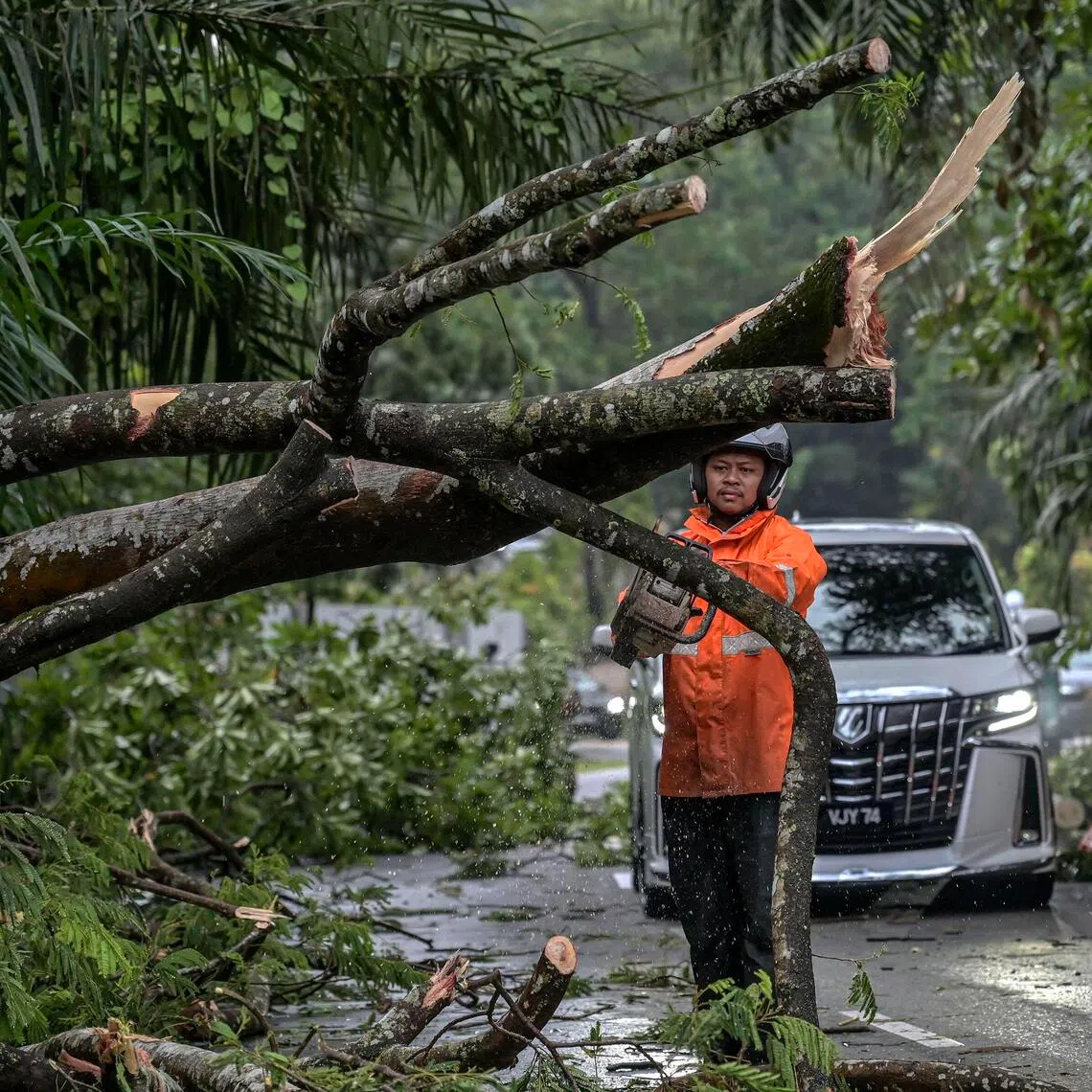 In separate incidents on Oct 22, a man was killed and a woman was injured when trees fell onto their cars during a heavy downpour in the city.