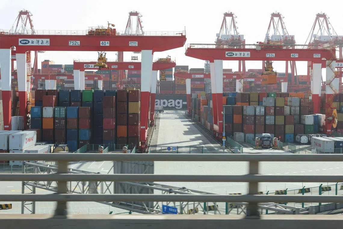 FILE PHOTO: Gantry cranes stand near shipping containers at Yangshan Port outside of Shanghai, China, February 7, 2025.  REUTERS/Go Nakamura/File Photo