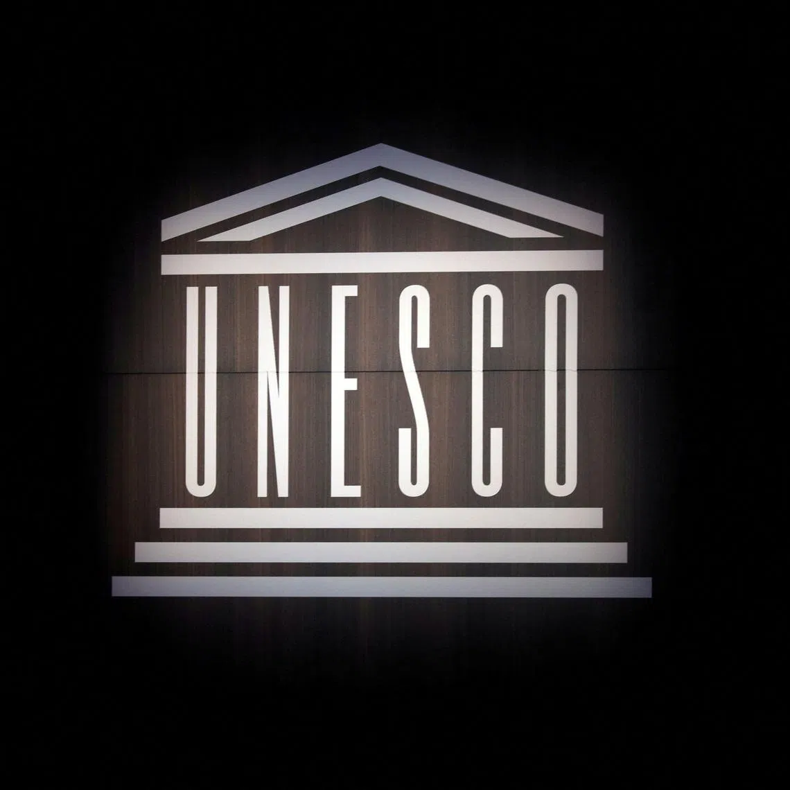 UNESCO has urged governments and international lenders to expand debt-for-education swaps to tackle a worsening education financing crisis.