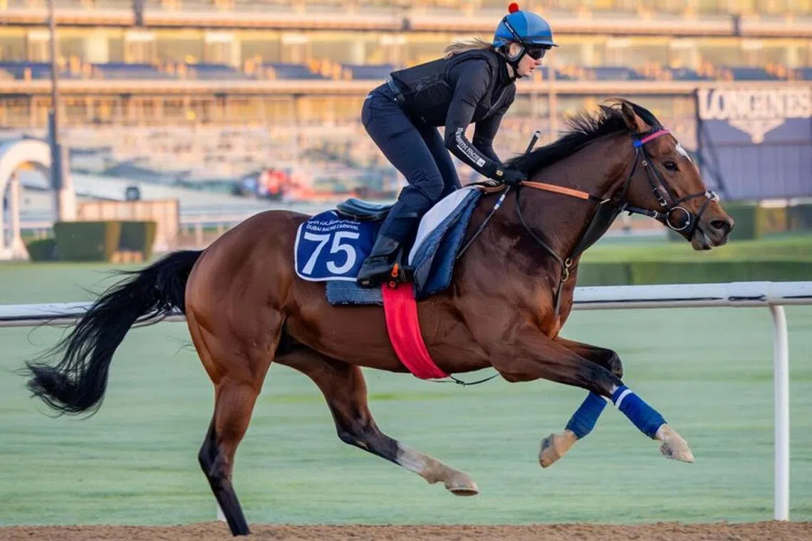 Lord North is right on Flight Plan path at maiden Dubai trip