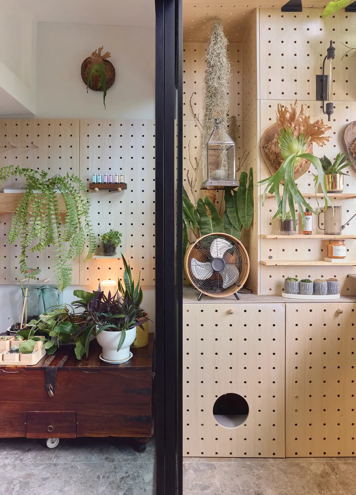 The houseplants and practical wooden pegboards reinforce the home’s design concept of being at one with nature.